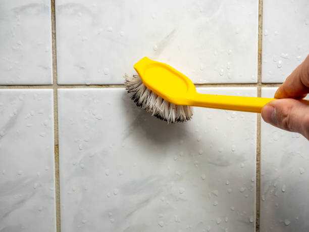 Best Mold Remediation for Schools in Riverwoods, IL