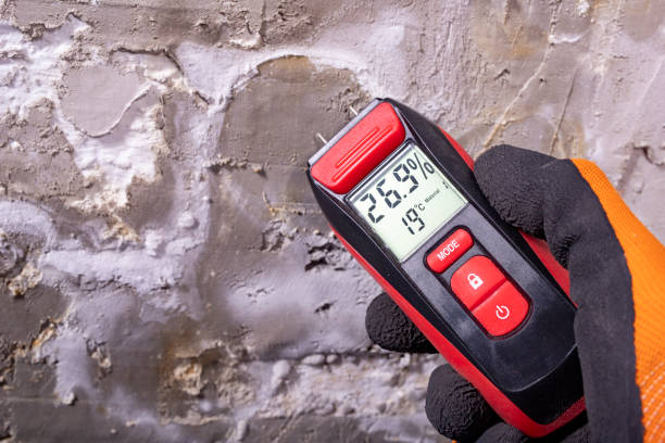 Best Commercial Mold Remediation in Riverwoods, IL